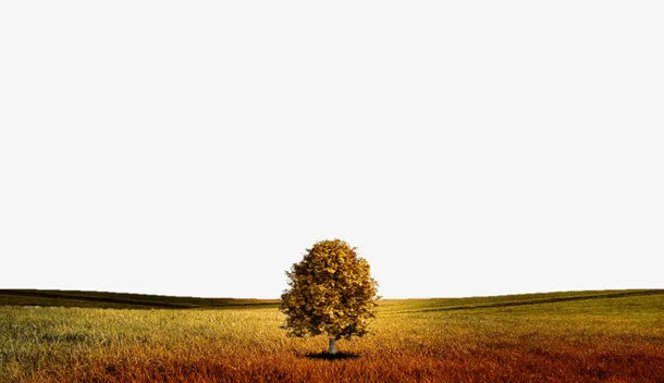 秋天的草原上免抠