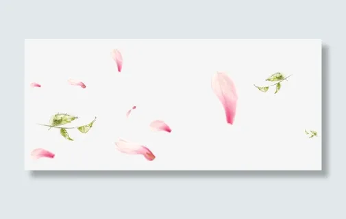 撒花树叶粉花瓣免抠