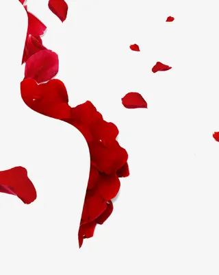 红色花瓣免抠