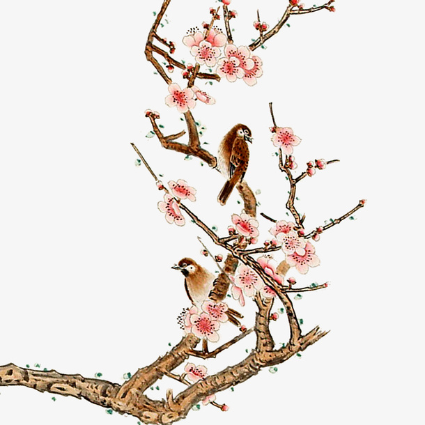 喜在枝头免抠