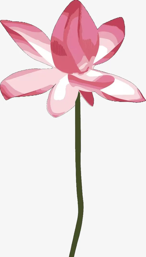 夏天的荷花···免抠