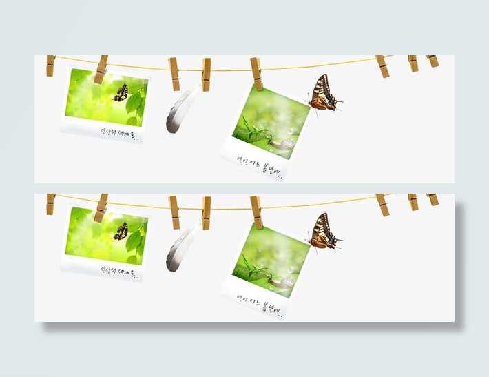 绿色春天蝴蝶照片免抠