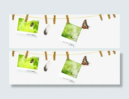 绿色春天蝴蝶照片免抠