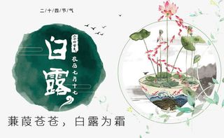 中国风水墨风格白露海报免抠