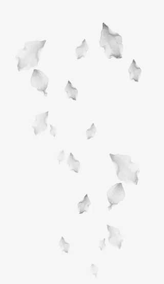 白色简约花瓣漂浮素材免抠