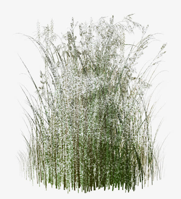 稻草免抠
