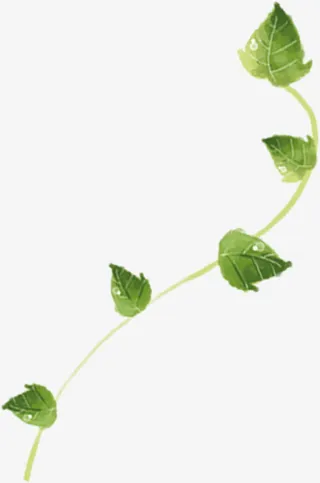 春天环保手绘藤蔓绿叶装饰免抠