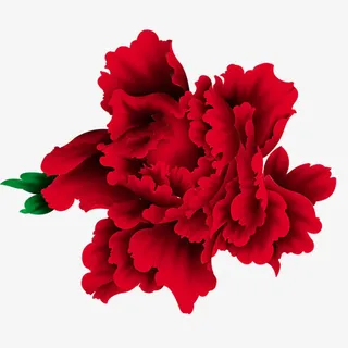 元旦新年春节大红色牡丹花免抠