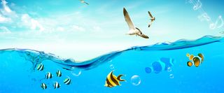 清爽酷夏banner背景高清