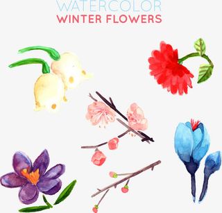 水彩手绘花朵免抠