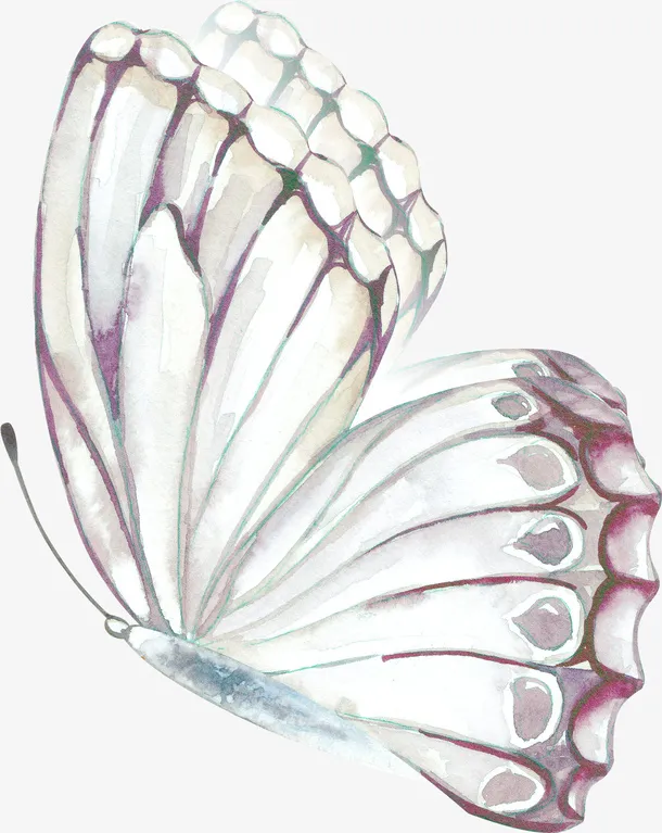 水彩手绘飞蛾免抠