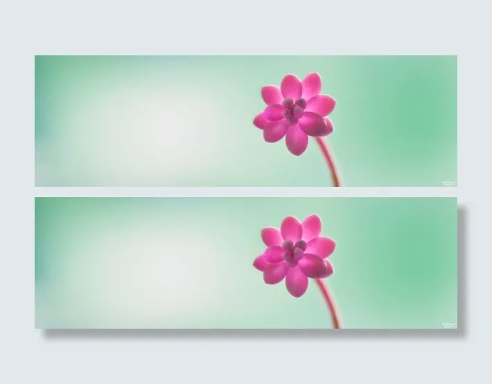 教育网站banner创意设计