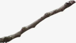 干枯树枝实物免抠