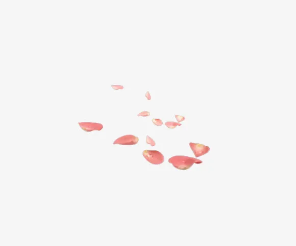 粉红花瓣洒落图片素材免抠