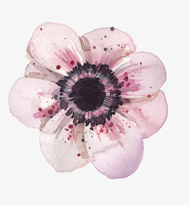 花瓣免抠