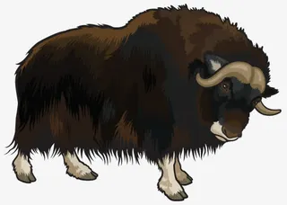 好斗的西班牙牛免抠