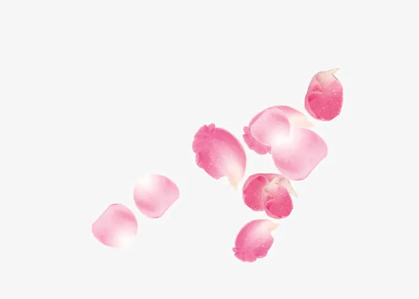 清新唯美飞舞的粉色玫瑰花瓣免抠