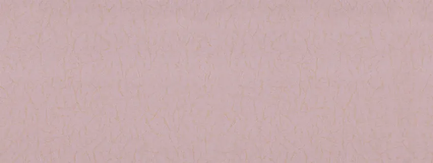 唯品会背景图高清