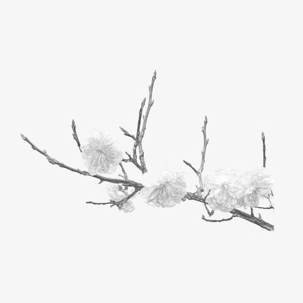 手绘树枝免抠