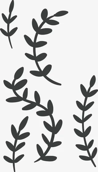 花枝树叶边框矢量免抠