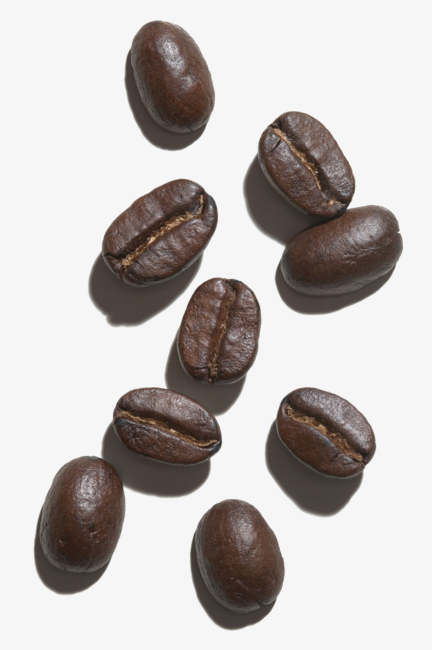 褐色咖啡豆免抠