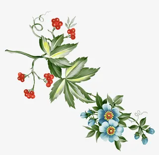 清新蓝色小花免抠