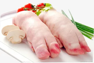 猪手  猪脚免抠