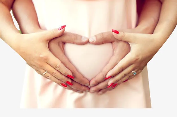 夫妻心形肚子高清免扣素材免抠