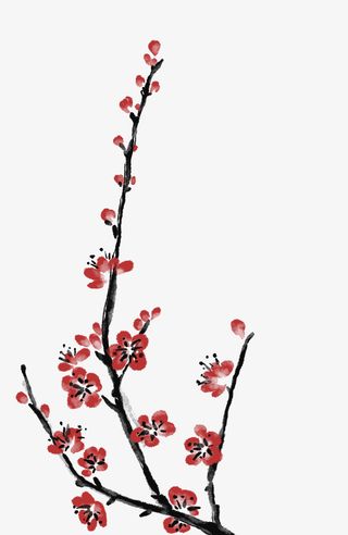 四君子梅花枝头图免抠