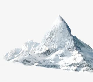 漂浮花瓣气泡简洁大方树叶树丛免抠