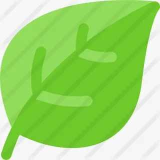 叶图标免抠 叶图标免抠