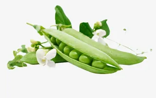 豌豆豌豆花豆类蔬菜免抠