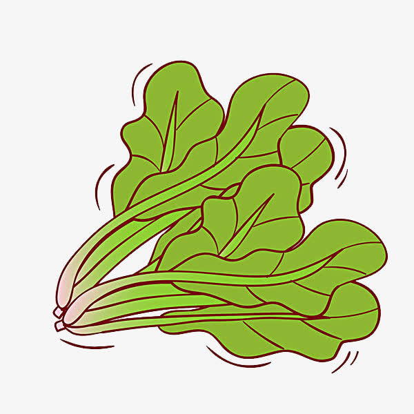 菠菜插画免抠
