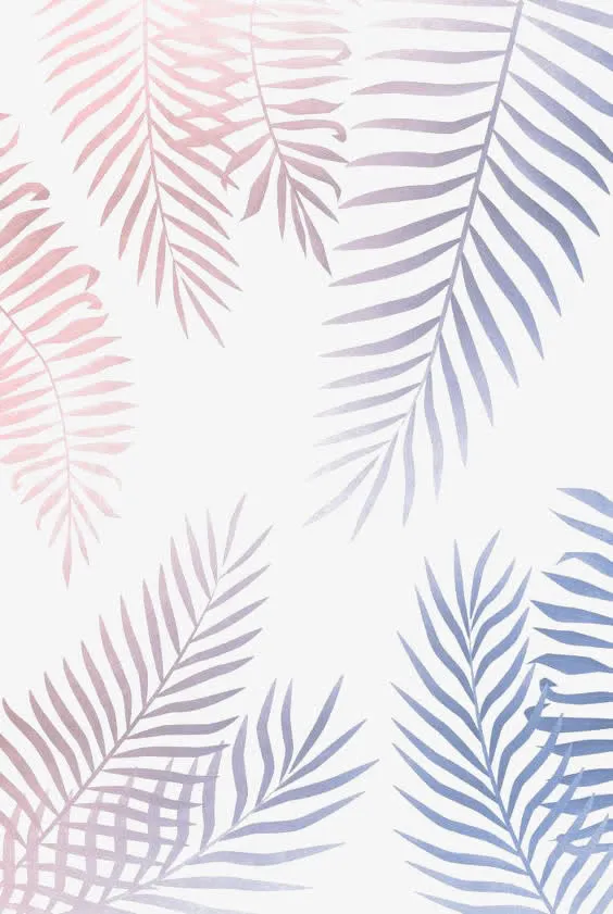 星空色棕榈叶免抠