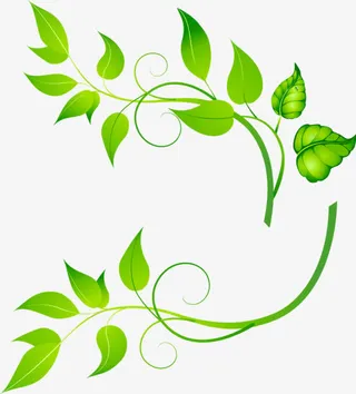 春天树叶藤蔓免抠