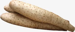 山药图片免抠