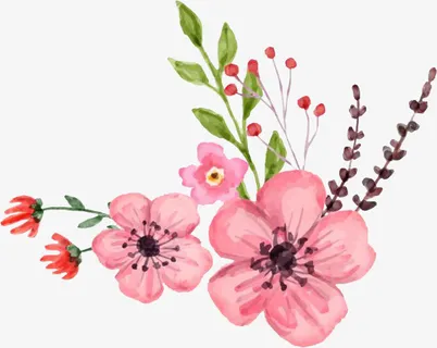 立春节气桃花花朵png免抠