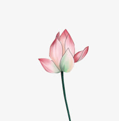 红色花朵花瓣彩绘素材免抠