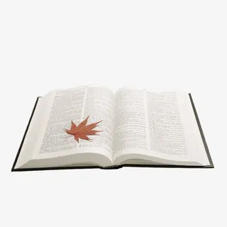 翻开的书页书签叶子免抠