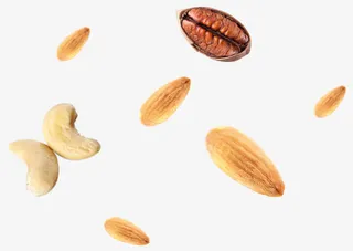 飞起的坚果免抠