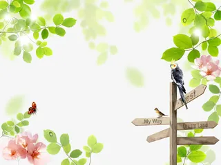 发光透明春天自然背景图