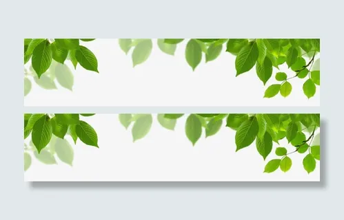 绿色装饰叶子免抠