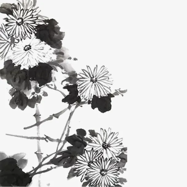 水墨菊花免抠