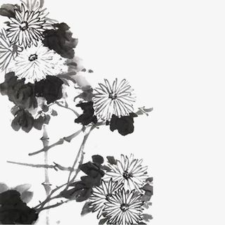 水墨菊花免抠
