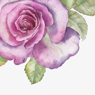 手绘紫色花朵免抠素材免抠