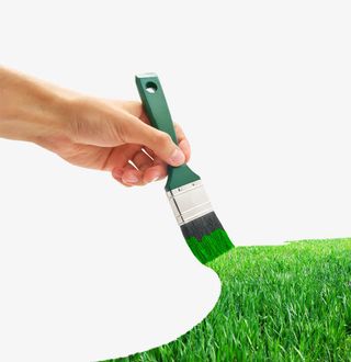 画笔绘画大自然草地免抠