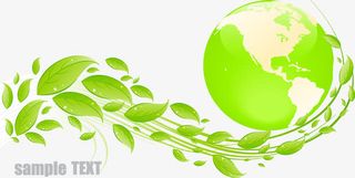 树叶树枝边角装饰免抠