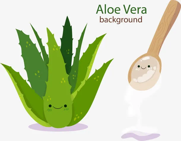 矢量手绘芦荟胶免抠