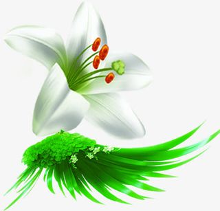 春天绿色植物翅膀免抠