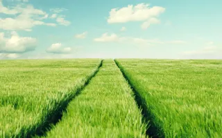 天空下的麦田壁纸免抠